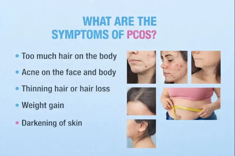 Doctor explaining female reproductive system with uterus model during gynecology consultation